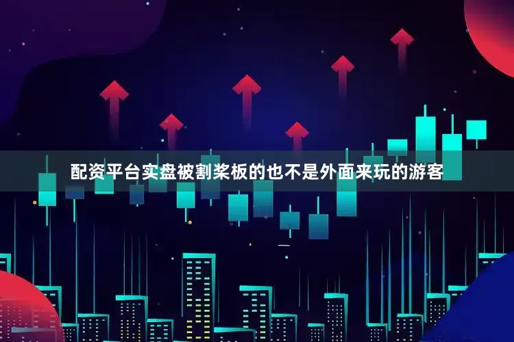 配资平台实盘被割桨板的也不是外面来玩的游客